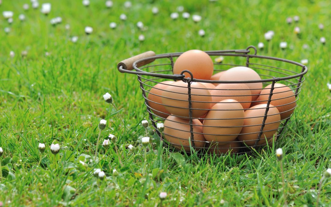 Age and Fertility: Understanding the Role of Donor Eggs in Assisted Reproduction