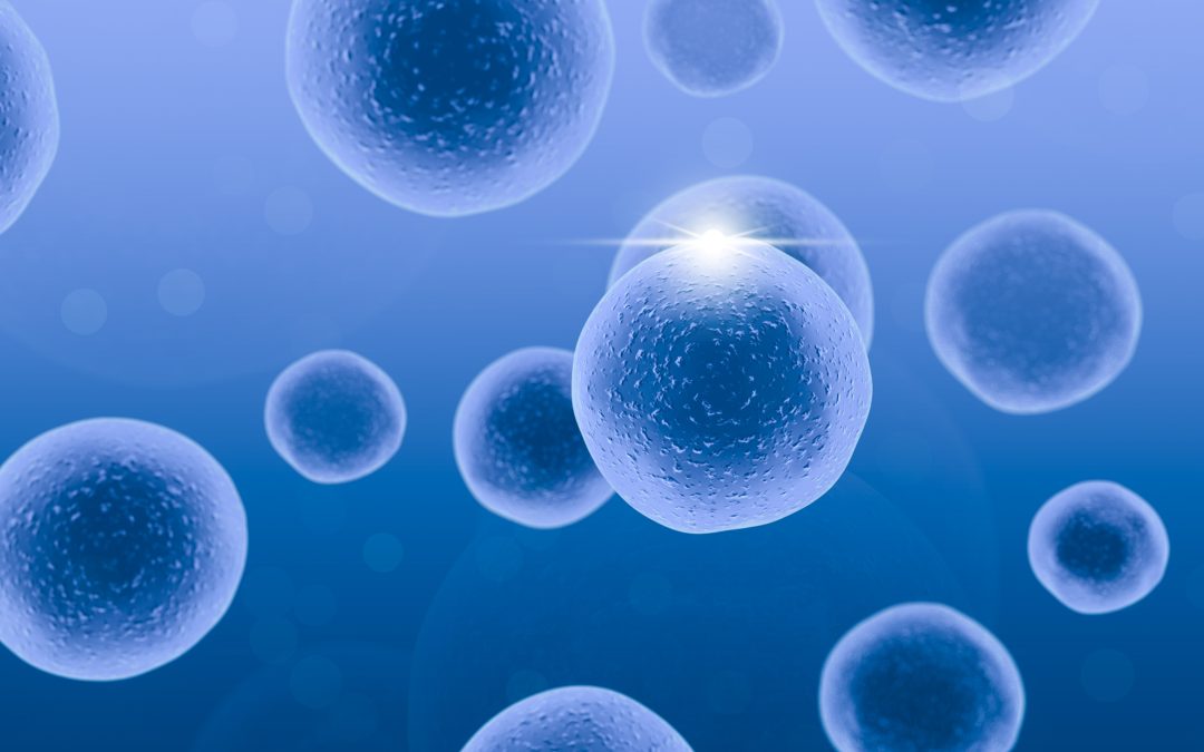 How long does the frozen donor egg process take?