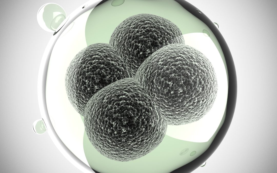 Discussing the Decision to Use an Egg Donor with Family and Friends