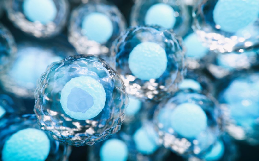 The Egg Donor Screening Process: What You Need to Know