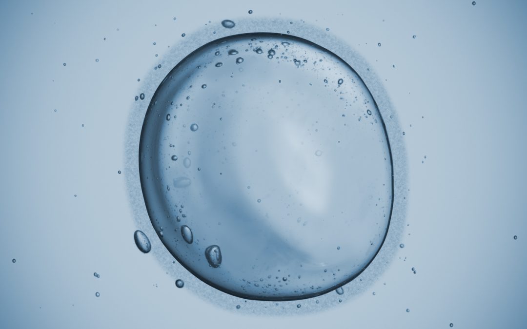 Fresh or Frozen? Learn About the Two Types of Egg Donation Cycles